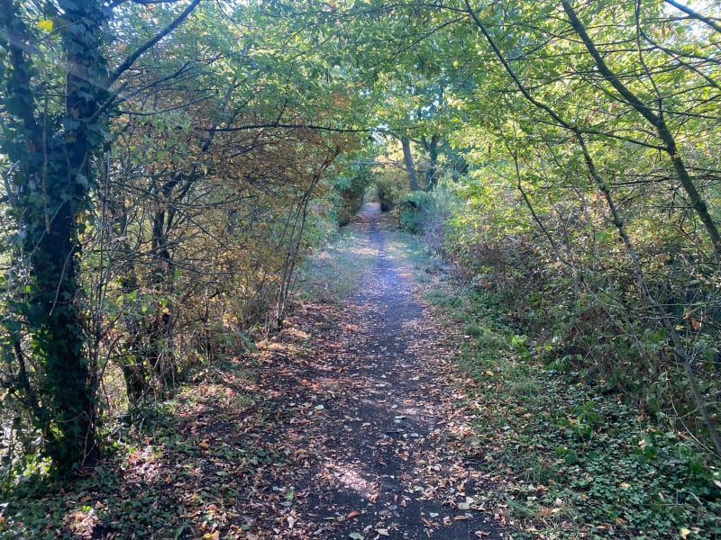 Terrils d’Haillicourt - Béthune