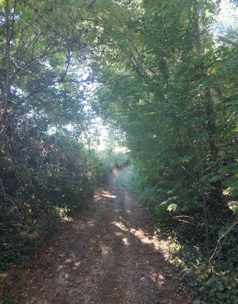 Neufvy sur Arondes - Neufvy-sur-Aronde