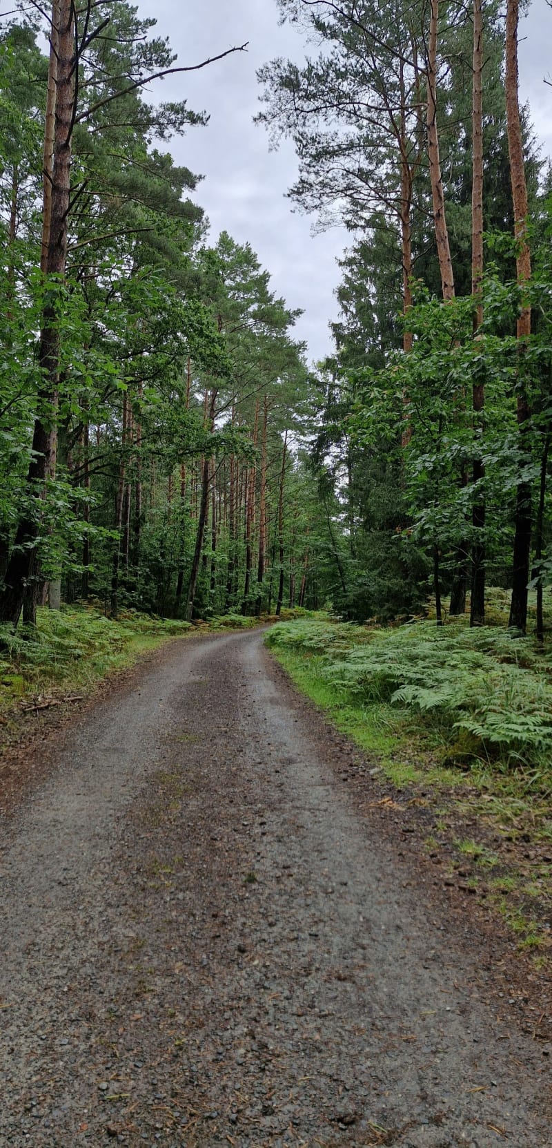Sztutowo - Krynica Morska - Sztutowo