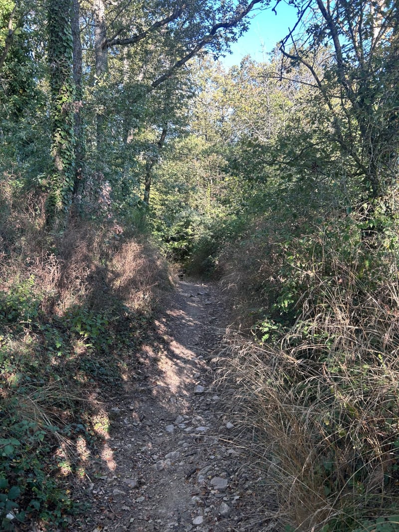 Petite balade à Saint-Laurent-d'Agny - Saint-Laurent-d'Agny
