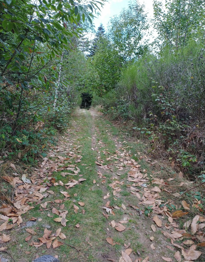 Boucle de Saint-Félicien, Pourchat-Pahyarais - Saint-Félicien