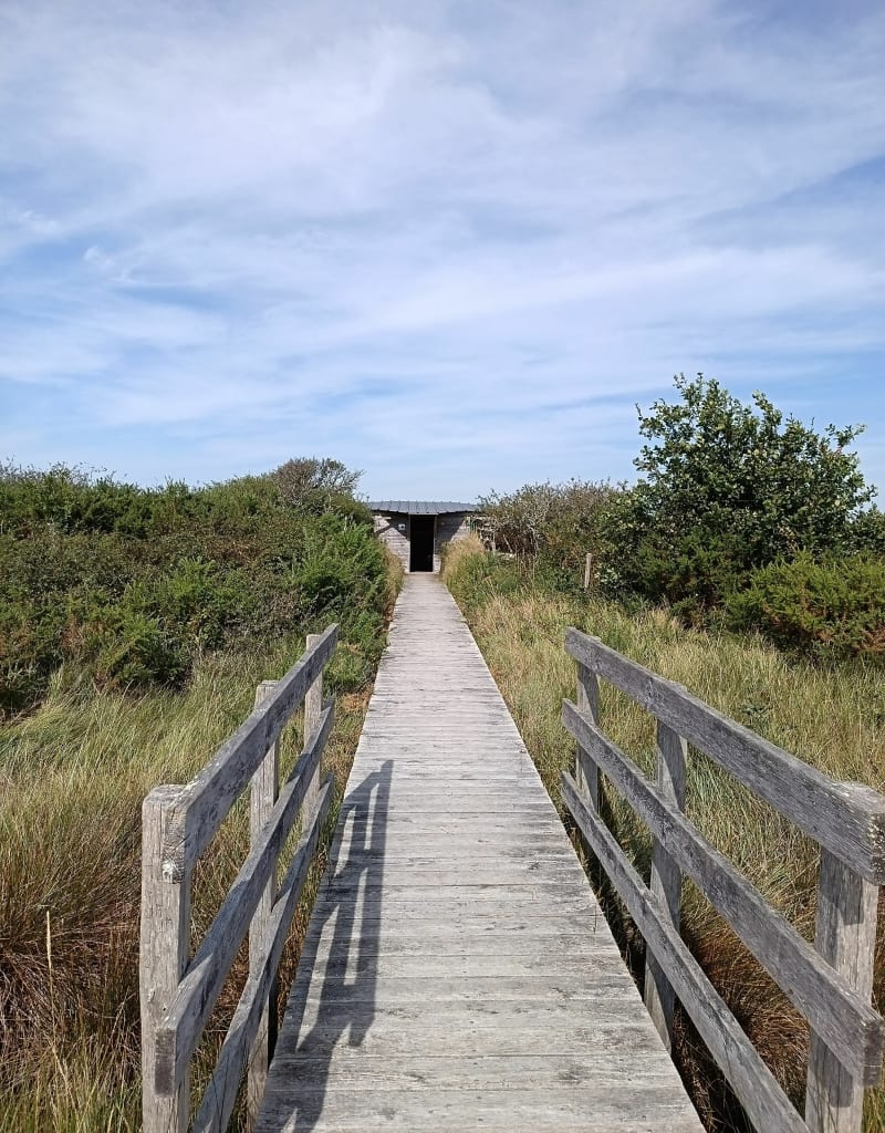 Balade dans la réserve des marais de Séné - Séné