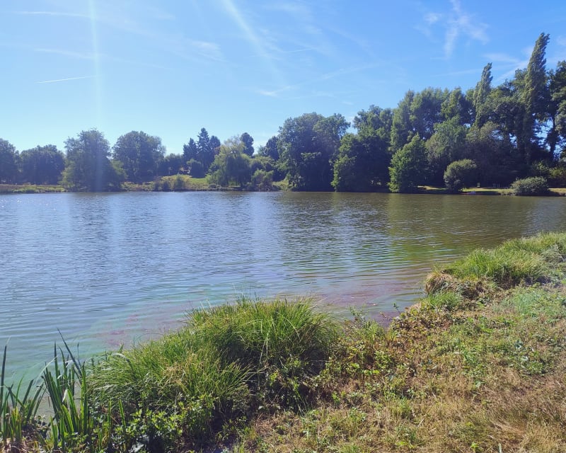 Campagne creusoise - Saint-Vaury