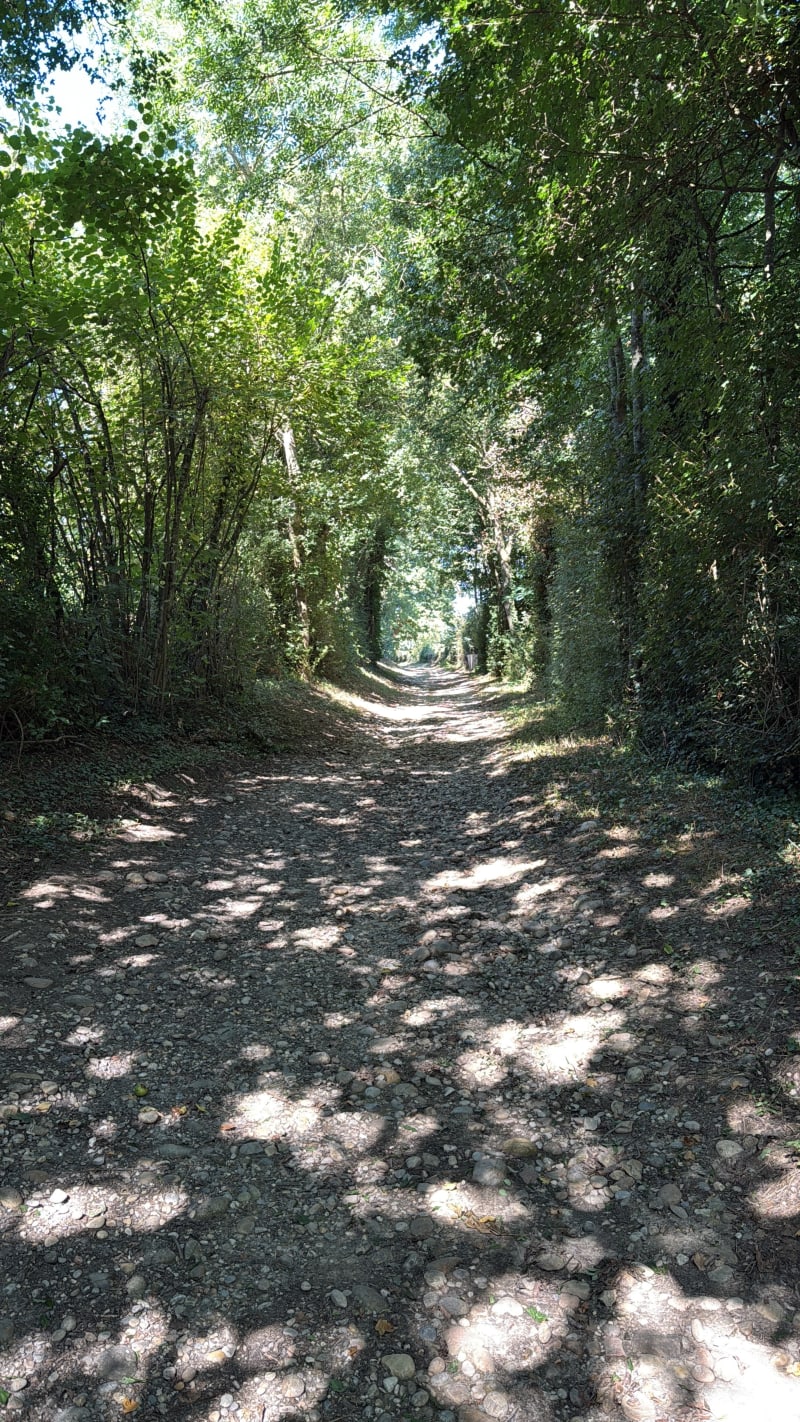 Boucle à Beynost - Beynost