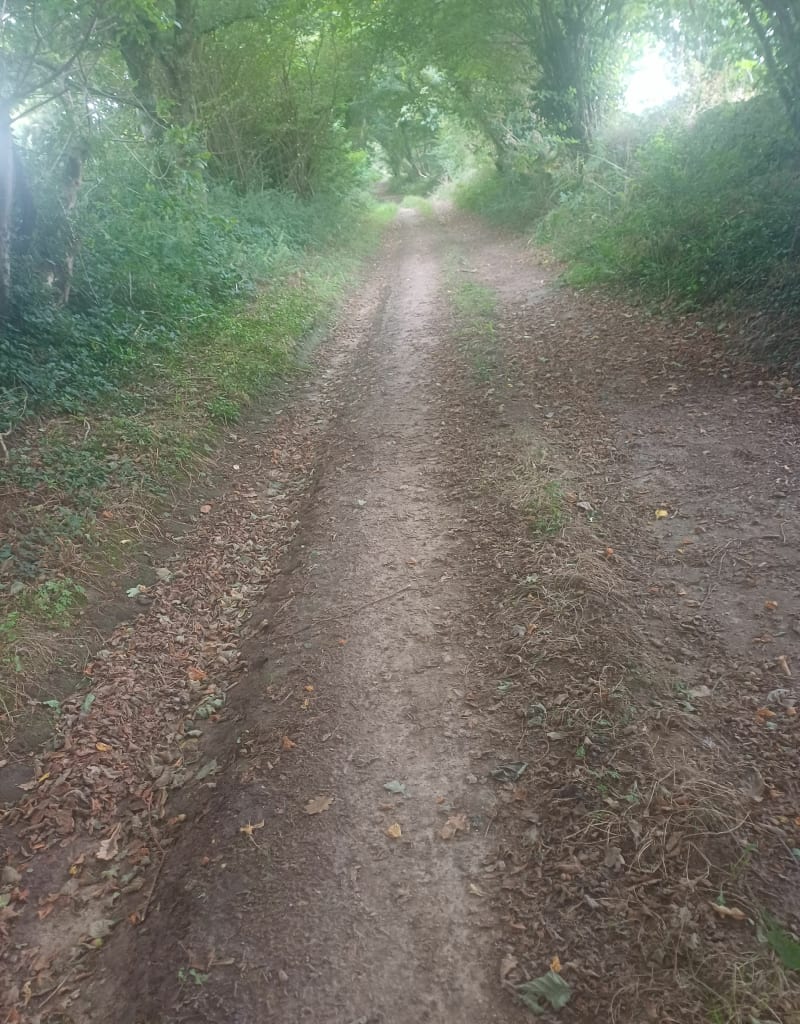 Petite balade dans Saint-Méen - Saint-Méen