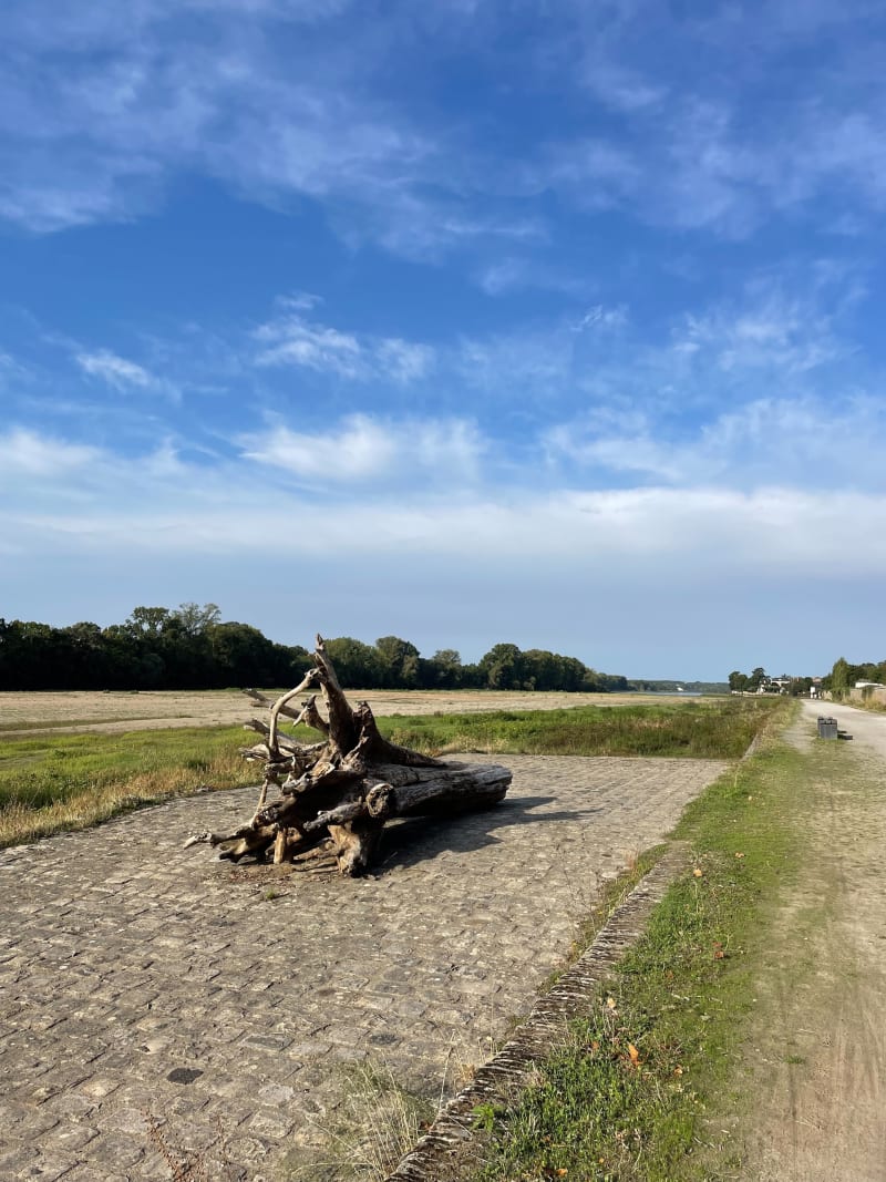 Rivières et fleuve angevin - Angers