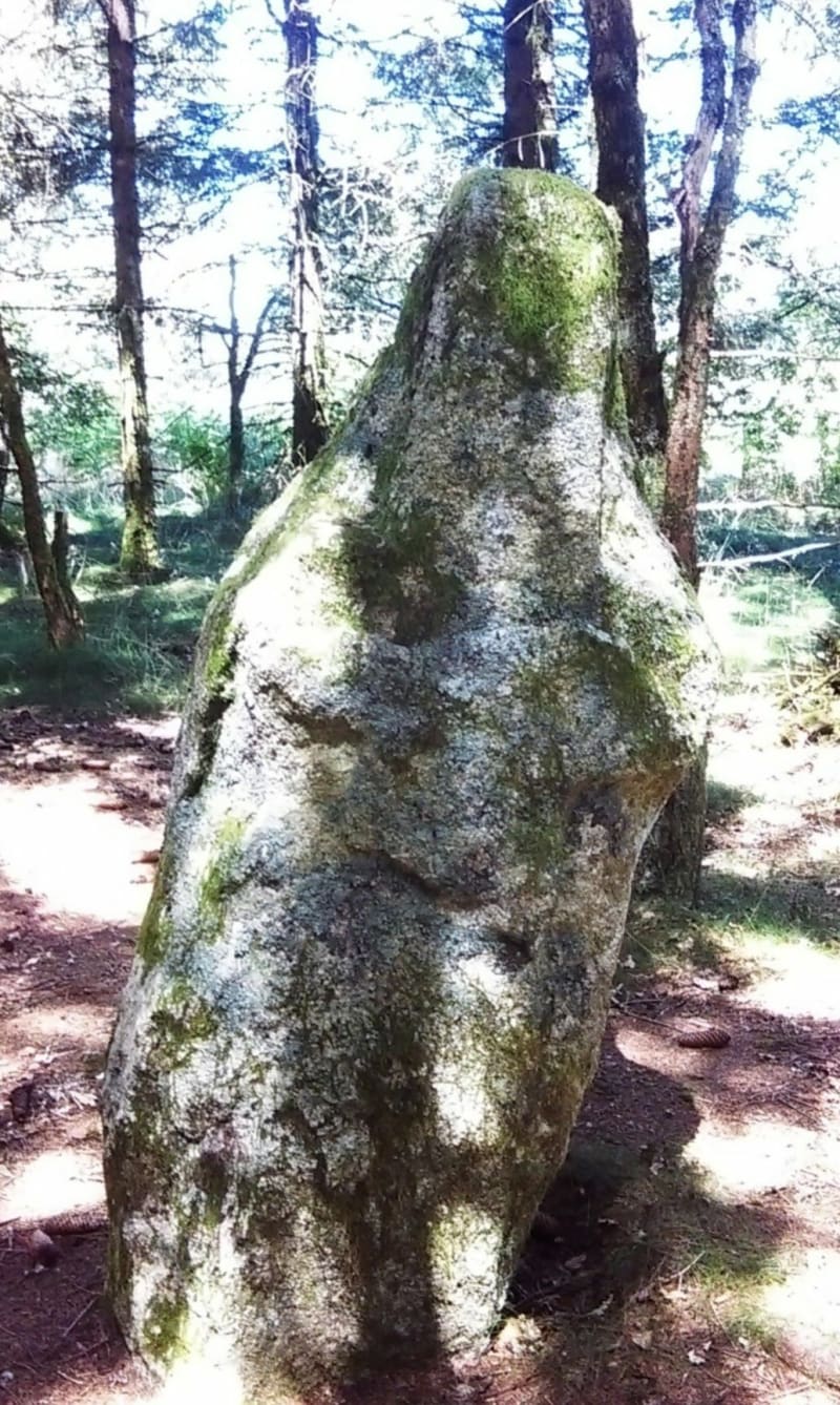 Boucle du moulin de Chadebec - Bonnefond