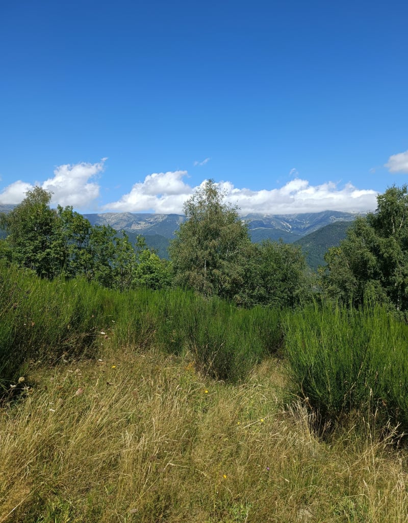 Vallespir la mire - Prats-de-Mollo-la-Preste