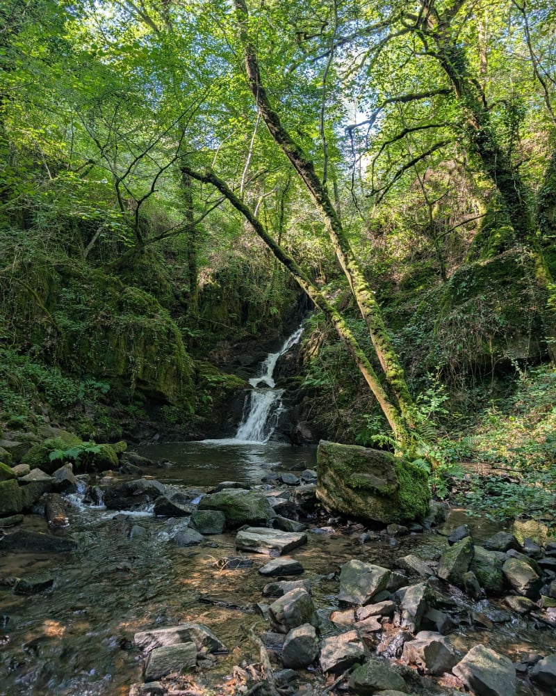 Cascade de Murel et cascade de la Vierge - Albussac