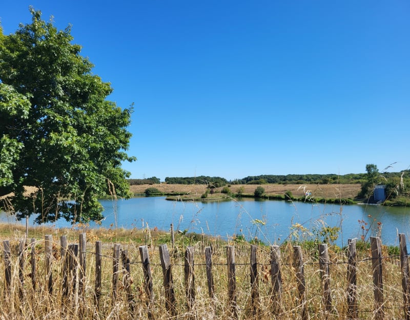 Balade vélo vers Neauphle - Coignières