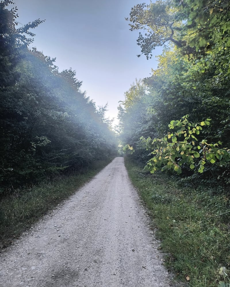 Au dessus de l'étang de Merrey - Bouxières-aux-Dames