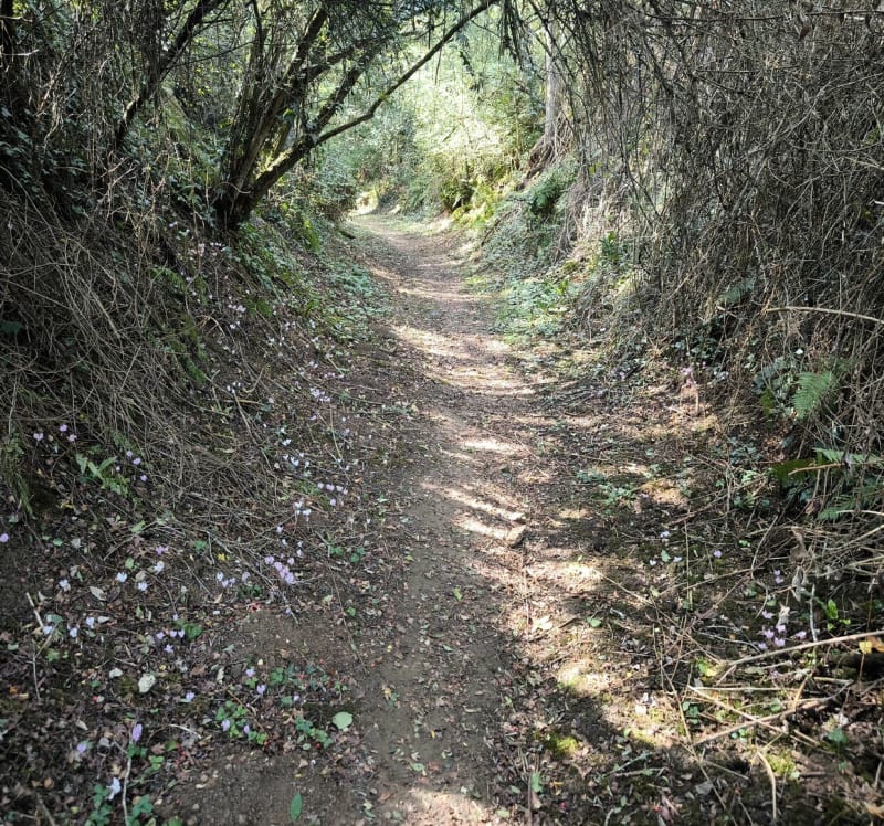 Le sentier de randonnée de Grand Vau - Massay