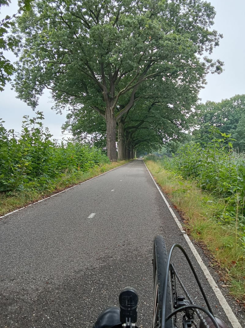 Zaterdag i Apeldoorn - Apeldoorn