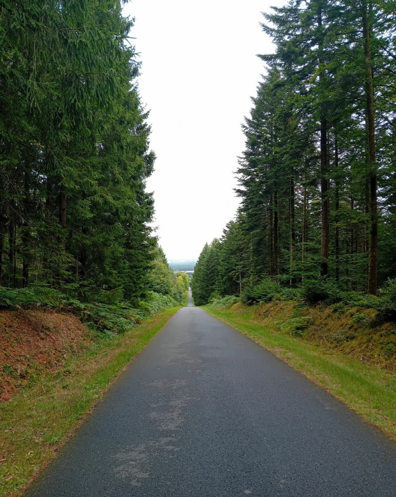 Parcours valloné dans le Parc Normandie-Maine - Argentan