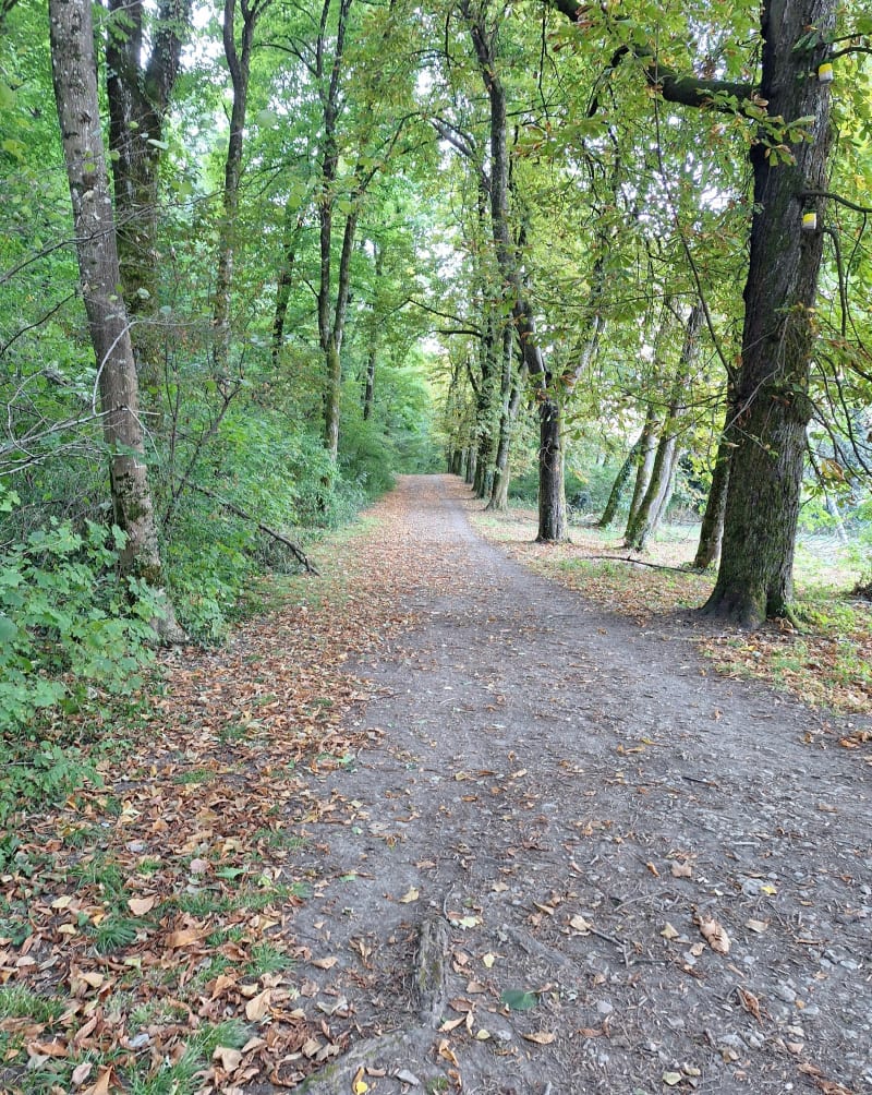 Des flancs du Neron au parc Fiancey - Saint-Égrève