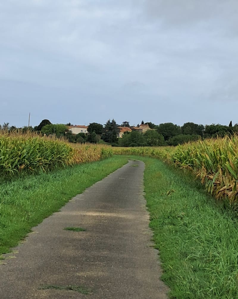 Autour d'Agris par la Grande Combe - Agris