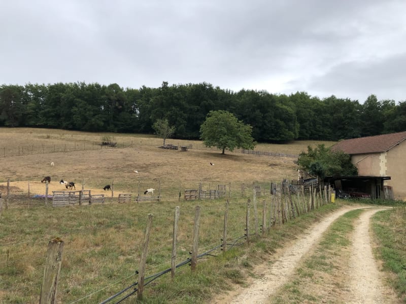 Course à pied entre ville et campagne - Périgueux