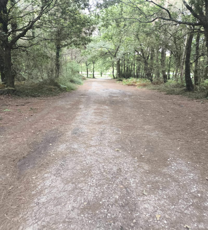 Un condensé du Sud Landes - Moliets-et-Maa