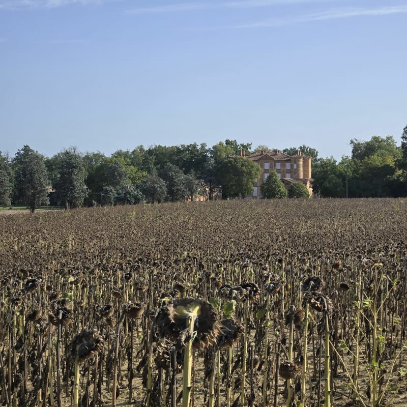En boucle vers le château et église auzielle - Labège
