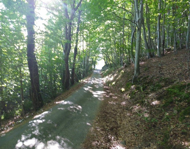 Boucle st Félicien - Arlebosc - Saint-Félicien