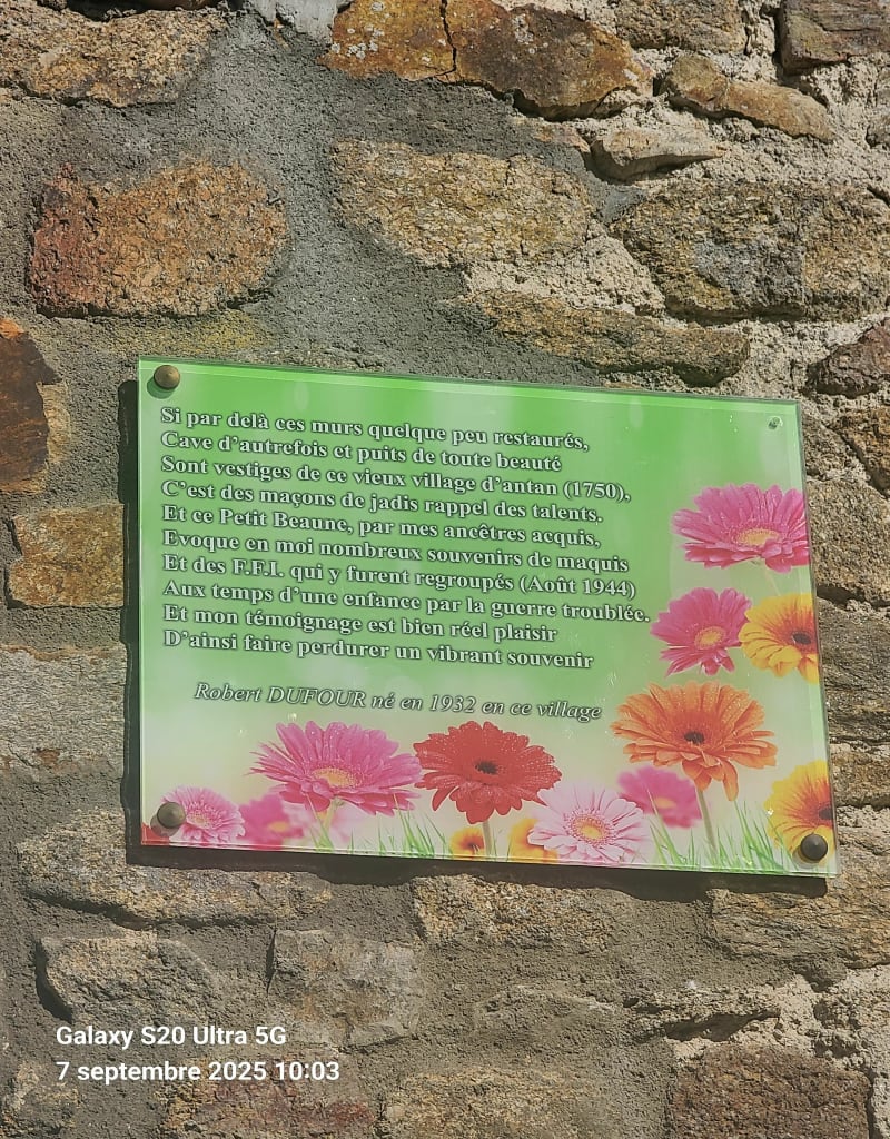 Beaune to be alive - Limoges