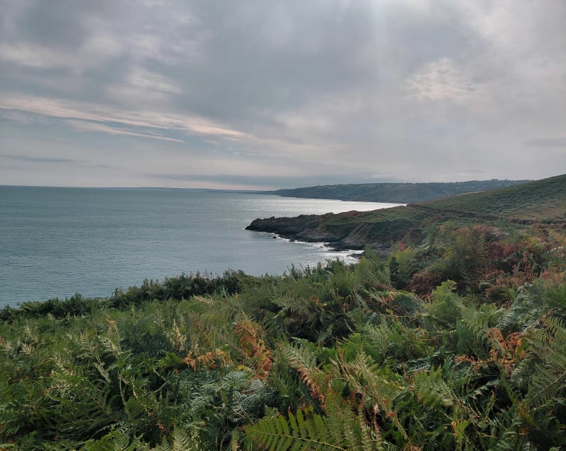 Balade Baie de Quervière -> Fort d'Omonville la Rogue - La Hague