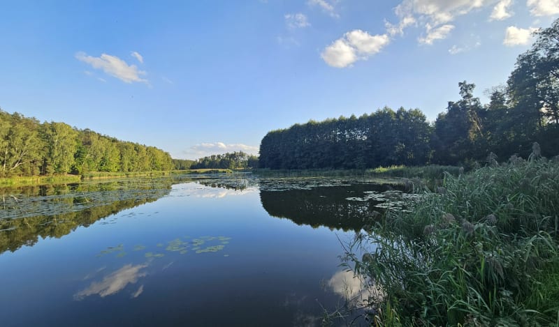 Leśny zapach, i Park Krajobrazowy - Lublin