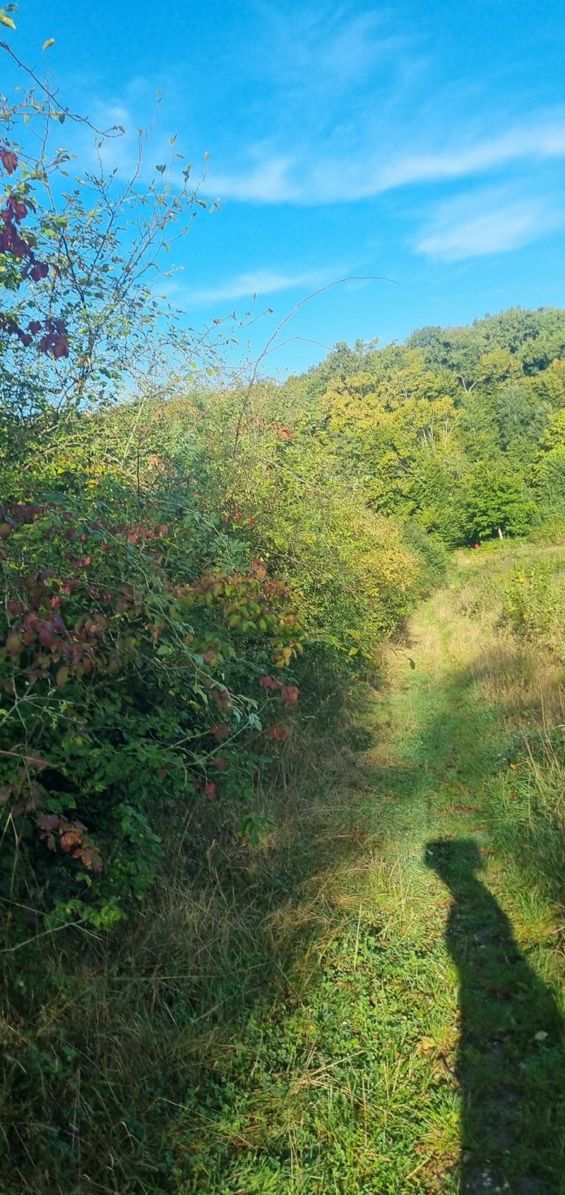 Boucle Mont sur meurthe Dameleviere par Château d Adomenil - Mont-sur-Meurthe