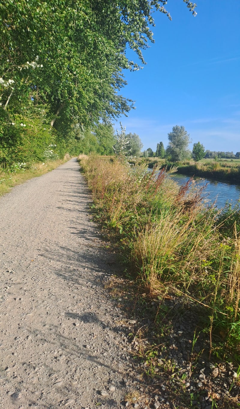 Le canal par le Doulac - Arques