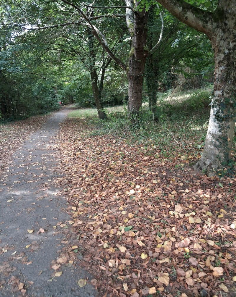 Balade dans cholet avec de la verdure - Cholet