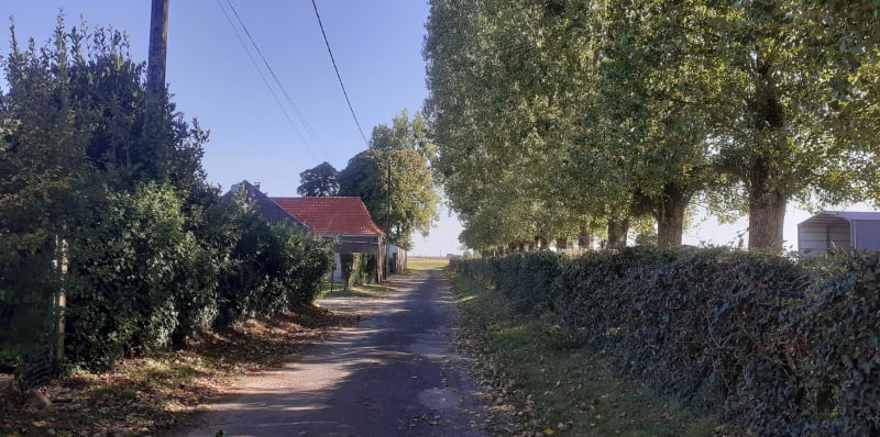 Le validons, le bois joli à Campagne les Hesdin - Campagne-lès-Hesdin