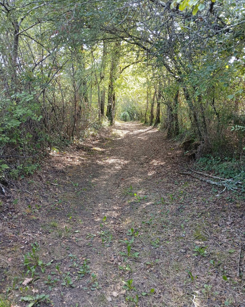 Balade autour du village de Puylaroque - Puylaroque