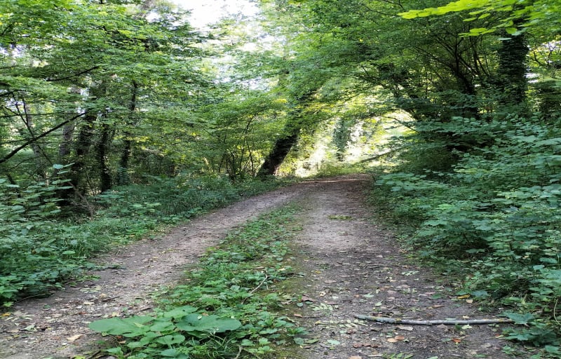 Boucle bucolique à Congis-sur-Thérouanne - Congis-sur-Thérouanne