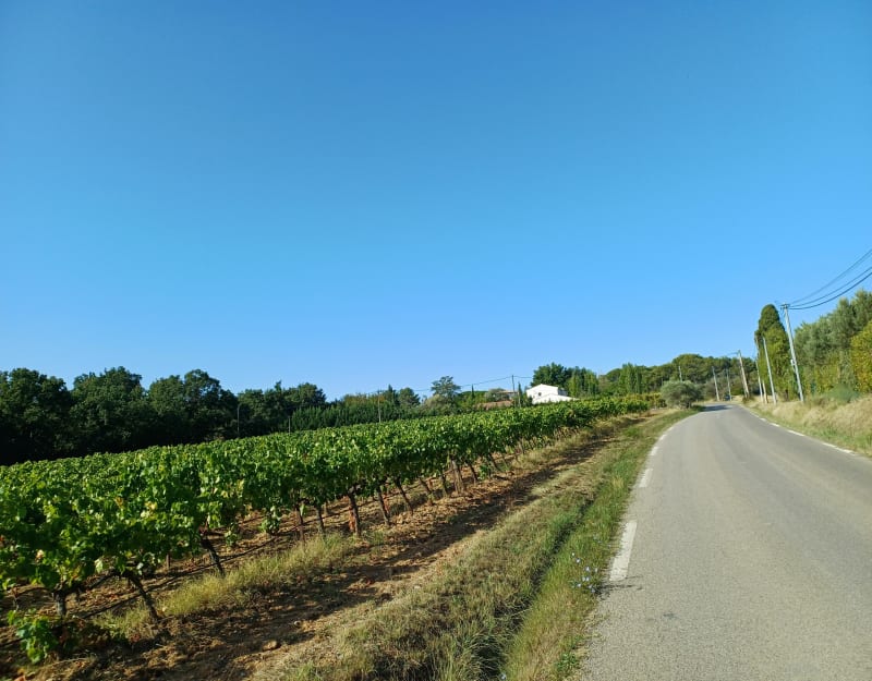 Montée vers kirbon, puis vers l'ermitage de saint jean - Trets