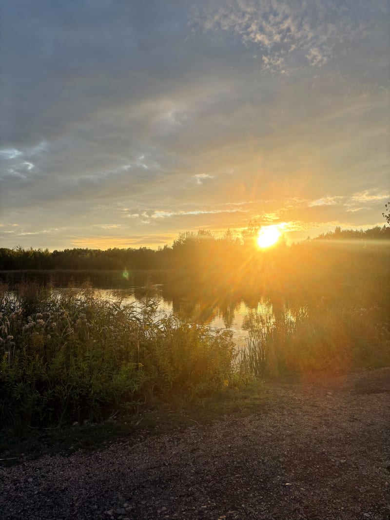 Żabie Doły - Bytom