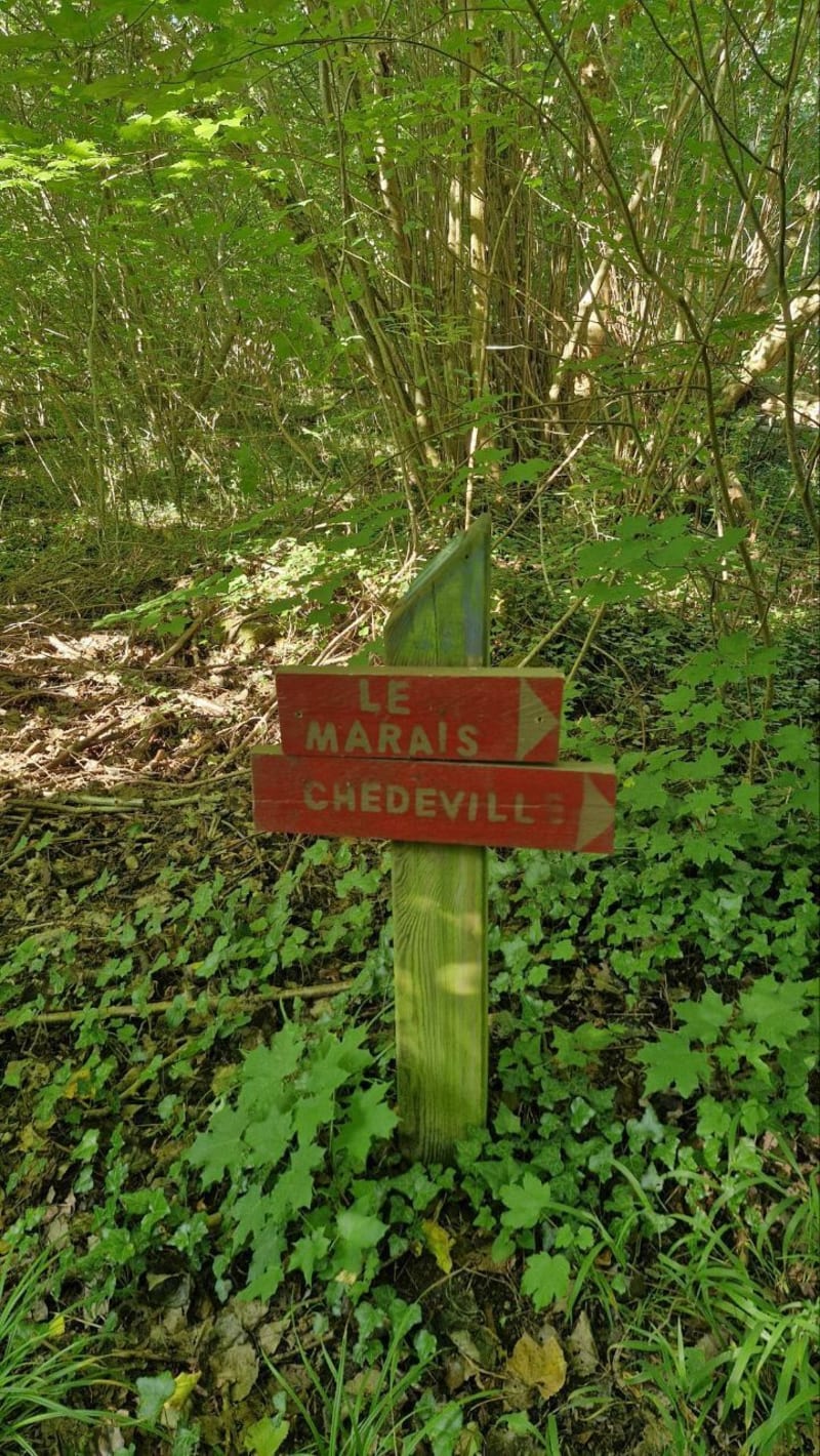 Sortie Mogneville - Mogneville