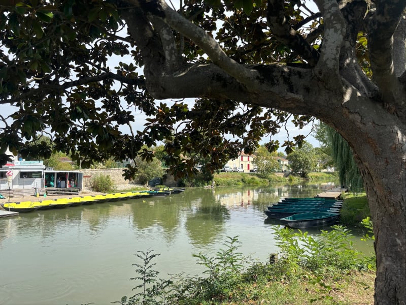 Damvix - Canal du mignon -Damvix - Damvix