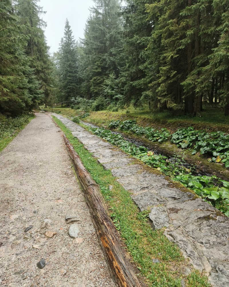 Wędrówka na Nosal - Zakopane