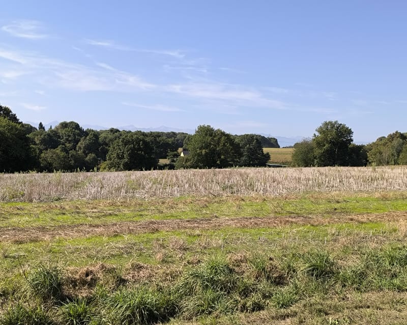 Casteide-Doat et ses amis alentours - Casteide-Doat