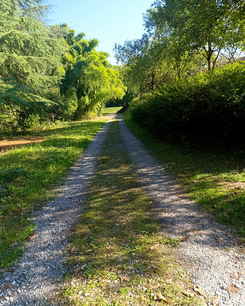 Balade à Lons et forêt avec nouvel espace jeux - Lons