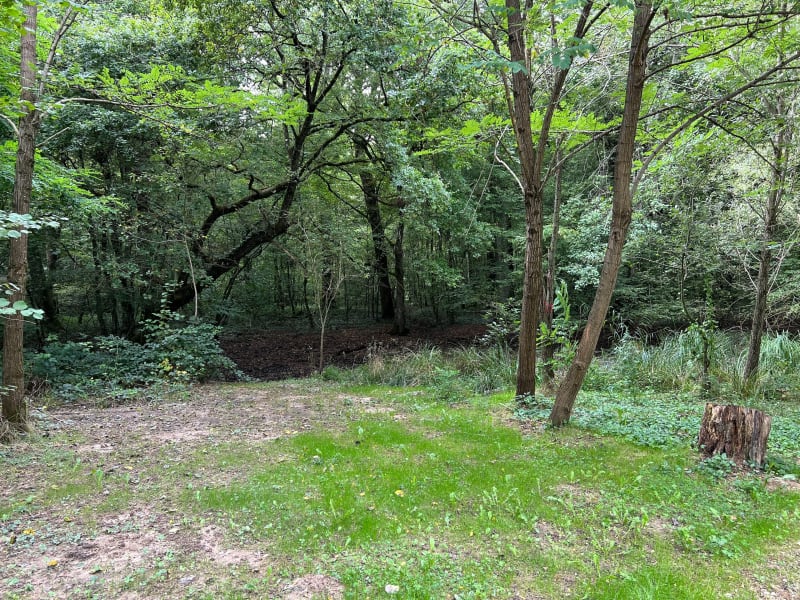 Balade à Damparis - Damparis