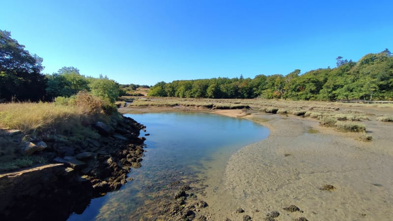 Les 2 rives du Sal (Plougoumelen) - Plougoumelen