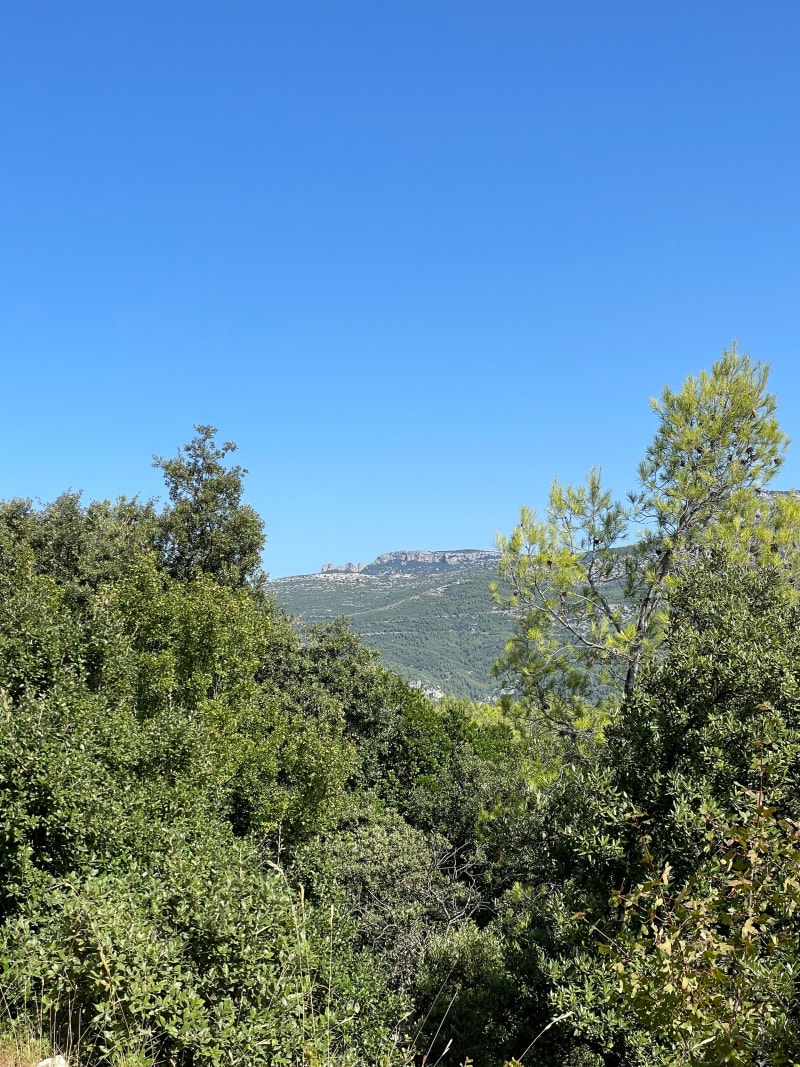 Les barres de font blanc - Roquefort-la-Bédoule