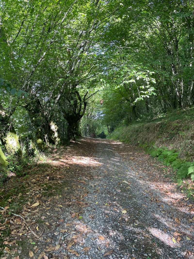 Le gourdaloup - Saint-Cirgues-la-Loutre