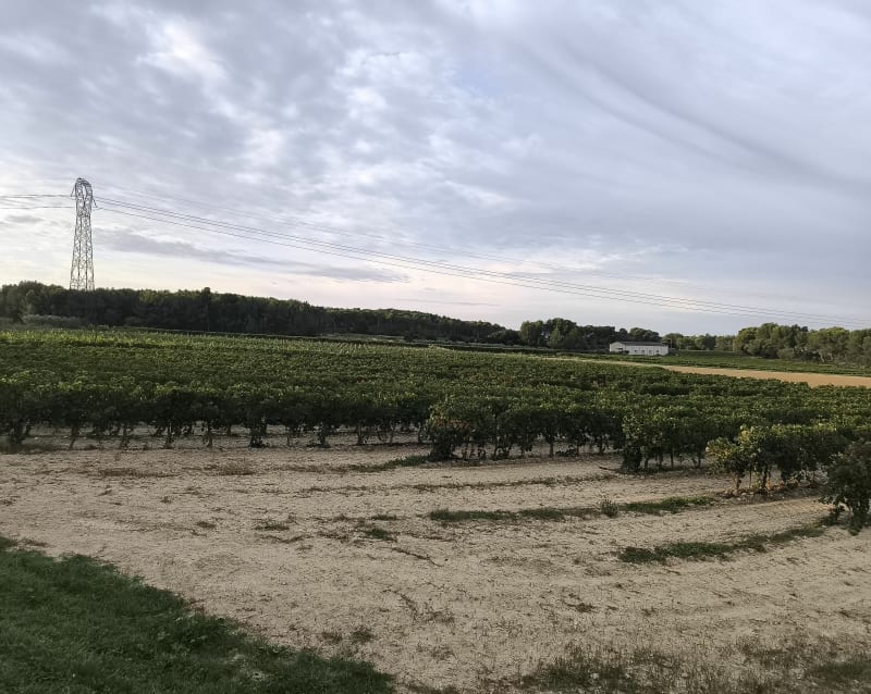 Balade matinale autour du hameau du Douaou - Lambesc