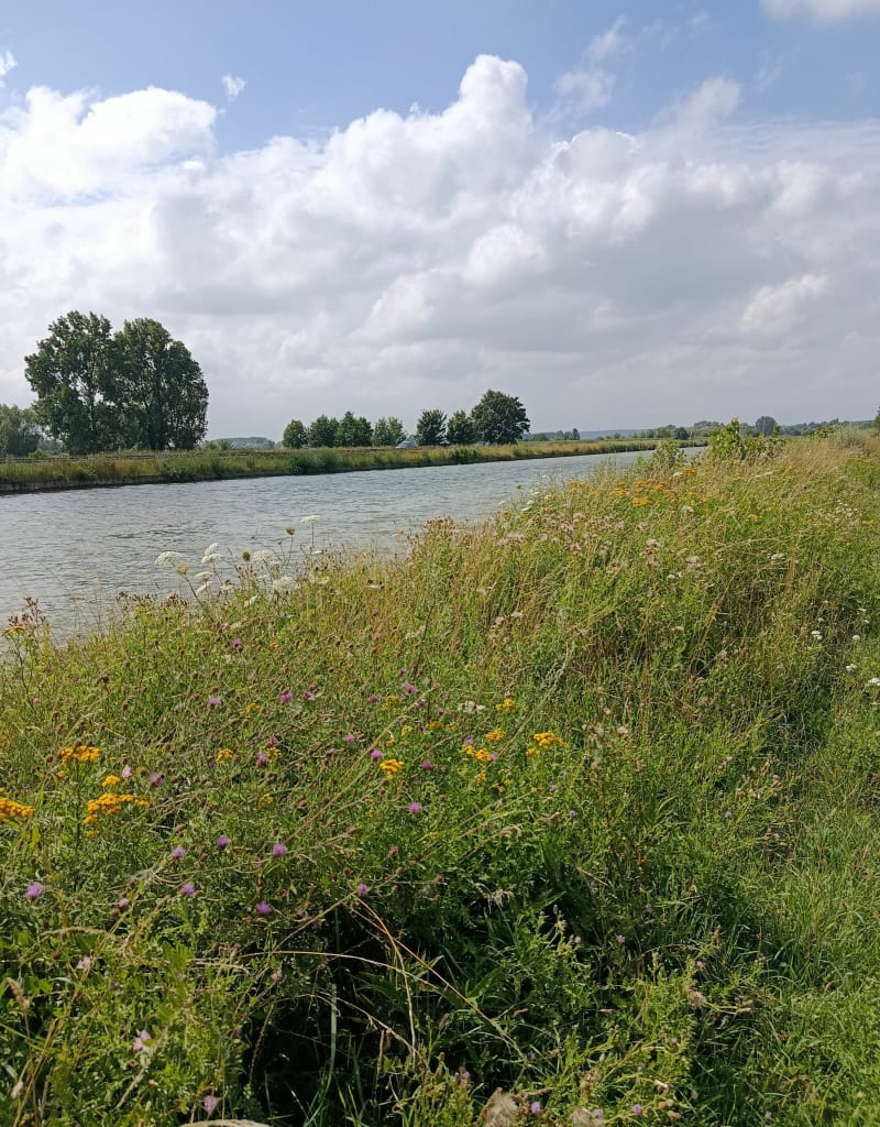 Balade jusqu'à Saint-Omer - Saint-Momelin