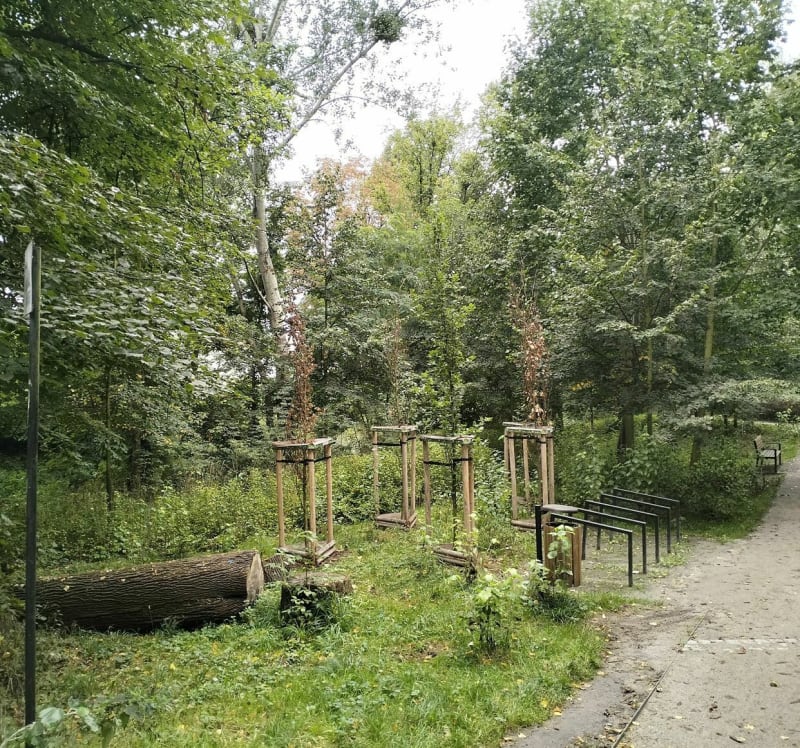 Lipa Piotrowska, Szymanów, Park Widawa - Wrocław