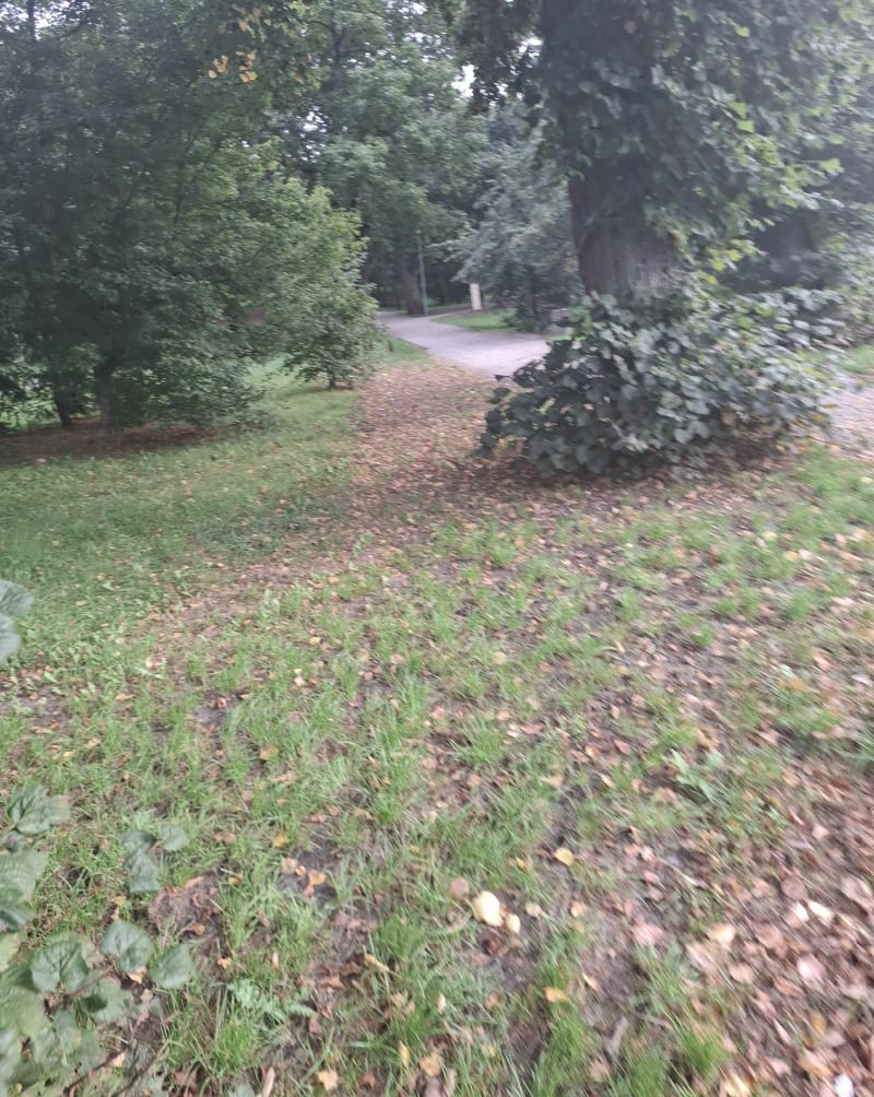 Gryfino centrum, przez park, wzdłuż drogi rowerowka  do Chwa - Gryfino