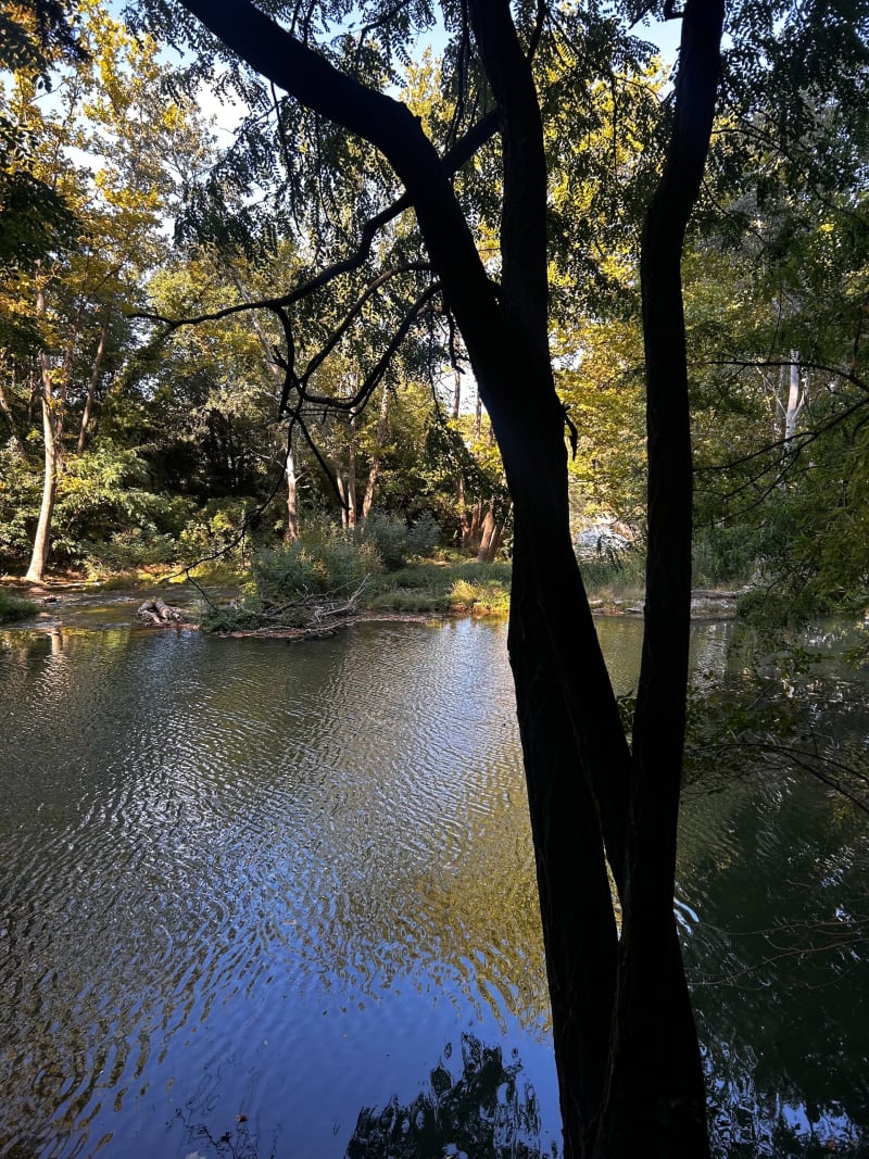 Balade au bord du Lez - Montpellier