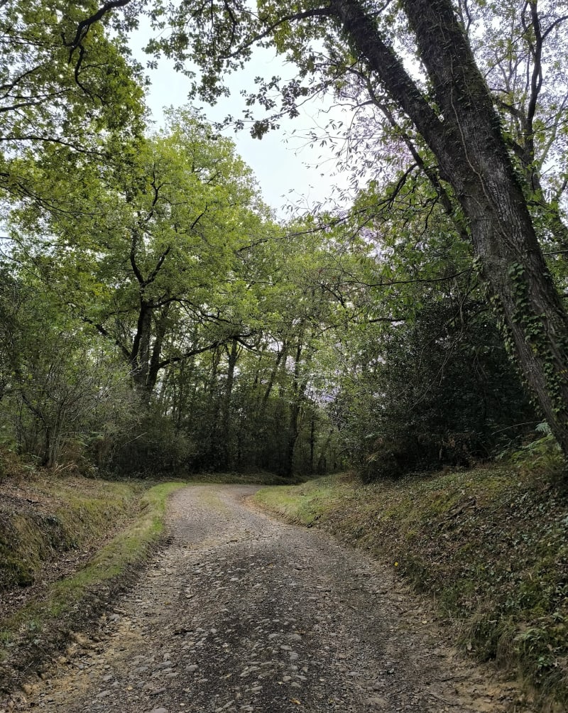 Casteide Doat et ses alentours - Casteide-Doat